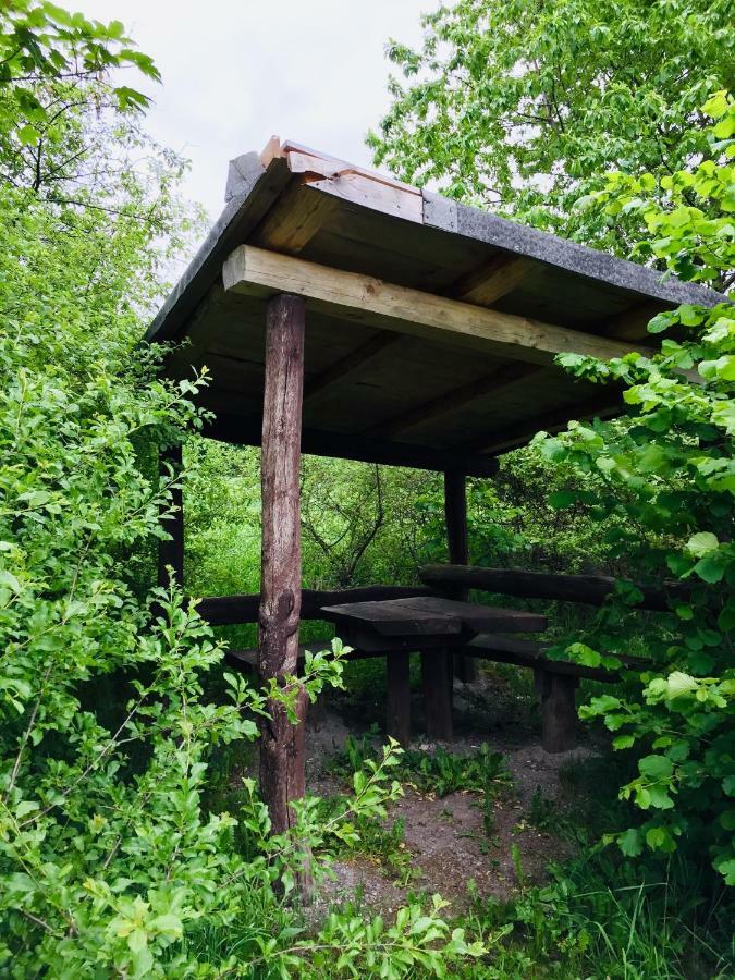 Gästehaus hohetanne1 Grossbreitenbach Exterior foto
